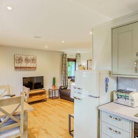 Birch Lodge 13 With Hot Tub Newton Stewart Ngoại thất bức ảnh